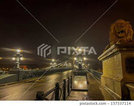 Night photography at the Chain Bridge in Budapest, with lion statues, Hungary 137337114