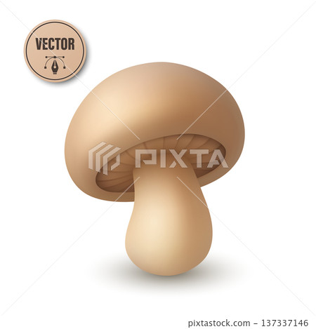 Vector 3d Champignon Mushroom Isolated. Realistic 3D Champignon Mushroom Vector Illustration. Beige Button Mushroom Icon Isolated. Food Design Template, Grocery Packaging. Mushroom Clipart 137337146
