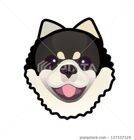 Pomeranian face illustration Pomeranian face illustration 137337329