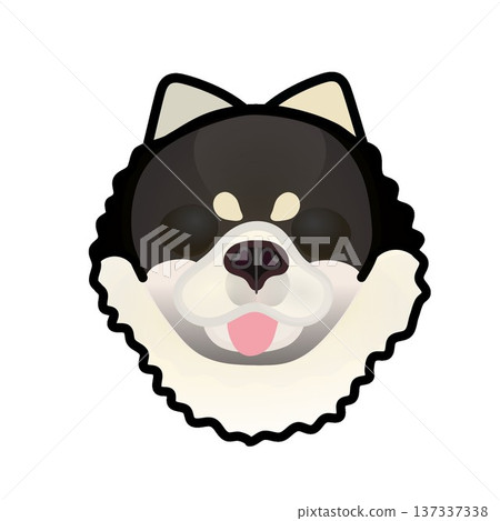 博美犬臉部插圖 博美犬臉部插圖 137337338