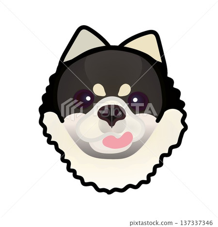 博美犬臉部插圖 博美犬臉部插圖 137337346