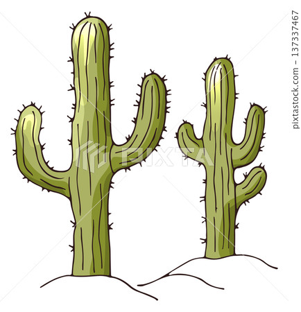 Growing cactus. Wild desert plant color drawing Growing cactus. Wild desert plant color drawing 137337467