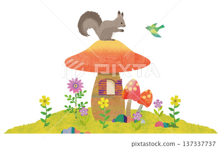 Squirrel and mushroom Squirrel and mushroom 137337737