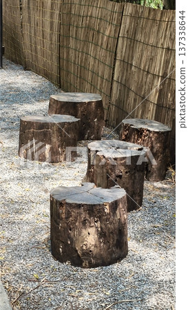 tree trunk in the jungle 137338644