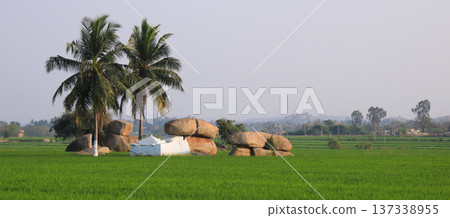 Small hindu shrine, coco palms and granite boulder in Basapur, Karnataka, India. 137338955