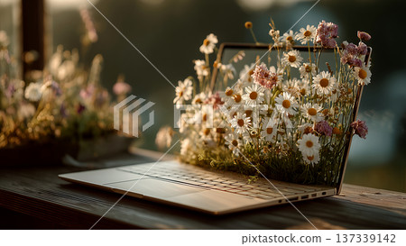 平靜的水面上漂浮著神秘的小島，島上櫻花盛開。 137339142