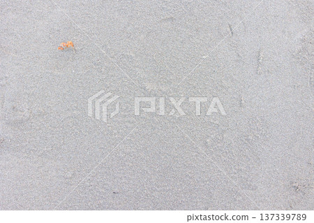 Sandy beach texture and background material of the Boso Peninsula | For summer coast and beach designs and web backgrounds Sandy beach texture and background material of the Boso Peninsula | For summer coast and beach designs and web backgrounds 137339789