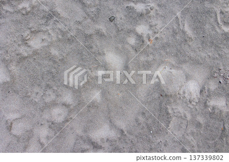 Texture and background of the sandy beach of the Boso Peninsula Texture and background of the sandy beach of the Boso Peninsula 137339802