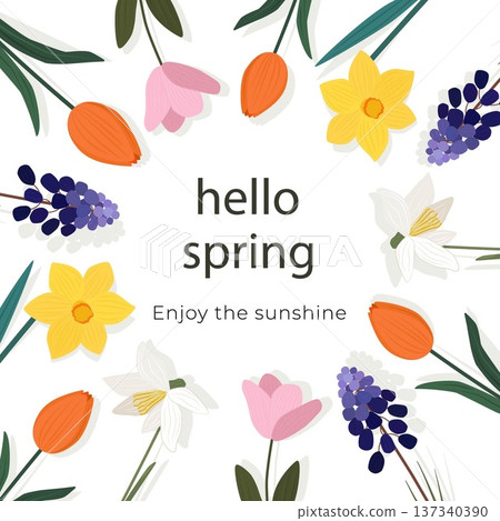 Vector spring greeting card with Hello Spring text. Colorful floral wreath for Mothers Day and Easter with tulips and narcissus. Elegant flower frame for posters, social media, and banners. 137340390