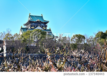 The castle tower seen from the plum grove The castle tower seen from the plum grove 137340443