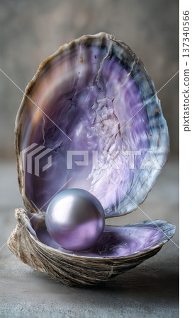 Open Clam Shell with Pearl and Purple Interior in Soft Studio Lighting 137340566