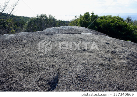 高知縣東陣場遺址及東陣石巨石，千條石 137340669