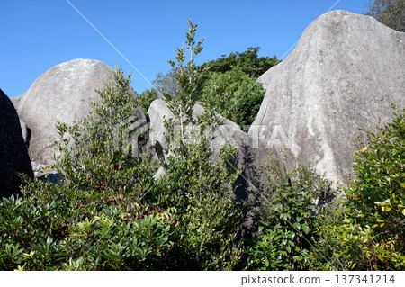 Kochi Prefecture Tojindaba Ruins and Tojin Stone Megaliths Kochi Prefecture Tojindaba Ruins and Tojin Stone Megaliths 137341214