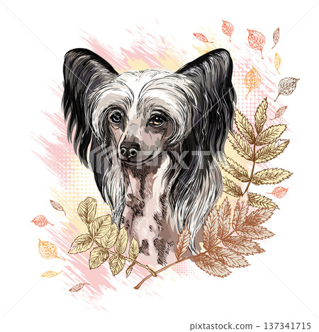 Chinese Crested Dog dog in flowers hand drawn vector 137341715