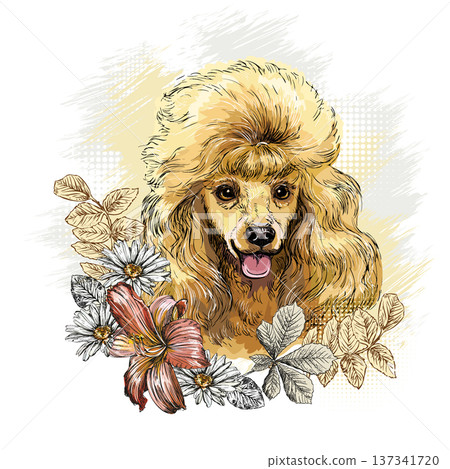 Poodle dog in flowers hand drawn vector illustration 137341720