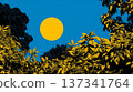 Minimalist Graphic Landscape with Yellow Jungle Foliage and Blue Sky 137341764