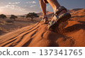 Person Hiking in Sand Dunes at Sunset 137341765