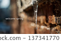 Melting icicle with water drop and welcome spring text 137341770