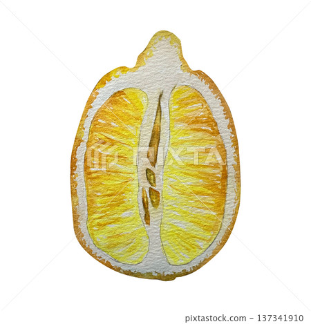 Watercolor illustration of a half lemon in yellow tones. Illustration for drink packaging, menus, culinary design, cosmetics branding, detox products and summer layouts. Watercolor illustration of a half lemon in yellow tones. Illustration for drink packaging, menus, culinary design, cosmetics branding, detox products and summer layouts. 137341910