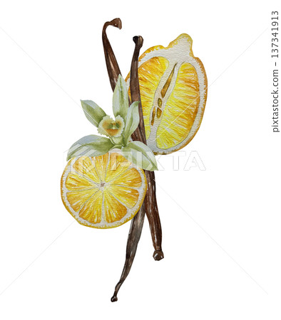 Watercolor illustration of lemon slices with seeds and vanilla pods with blossom. Illustration for dessert packaging, fragrance design and natural culinary branding. Watercolor illustration of lemon slices with seeds and vanilla pods with blossom. Illustration for dessert packaging, fragrance design and natural culinary branding. 137341913