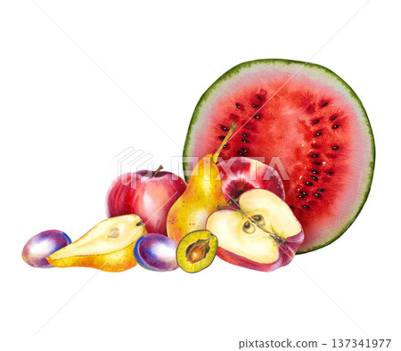 Watercolor illustration of watermelon slice, apples, pears, and plums on white background. Bright and juicy fruit composition for food packaging, summer menus, diet content, or wellness branding. Watercolor illustration of watermelon slice, apples, pears, and plums on white background. Bright and juicy fruit composition for food packaging, summer menus, diet content, or wellness branding. 137341977