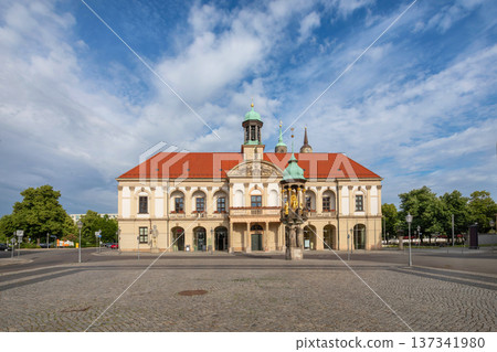Old Town Hall in Magdeburg Old Town Hall in Magdeburg 137341980