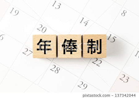 A block with the words "Annual Salary System" written on it and a calendar 137342044