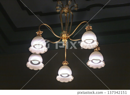 Set against a dark backdrop, this Art Nouveau chandelier exemplifies the Liberty style with its polished brass frame and five gracefully undulating arms. Each arm bears a delicate, flower-shaped shade 137342151