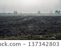 Foggy Landscape Over Plowed Field 137342803
