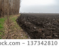 Plowed Field and Tree Line Under Foggy Sky 137342810