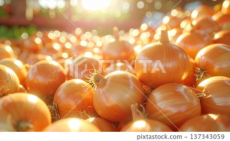 Image of lots of onions Image of lots of onions 137343059