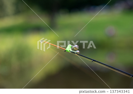 Fishing rod tip with bell bite alarm on blurred water background 137343341