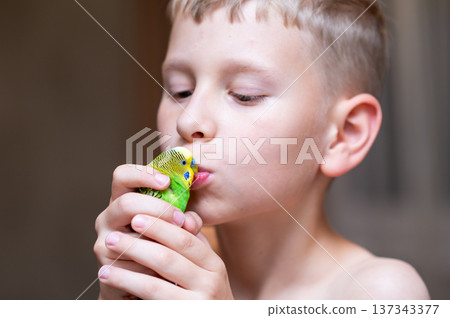 Blond teenage boy holding green budgie and kissing his pet bird Blond teenage boy holding green budgie and kissing his pet bird 137343377