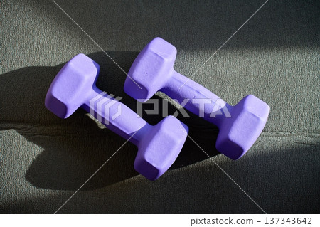Two purple dumbbells placed on exercise mat with shadows Two purple dumbbells placed on exercise mat with shadows 137343642