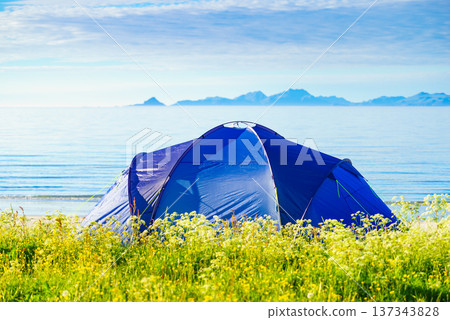 Tent on beach, Lofoten islands, Norway Tent on beach, Lofoten islands, Norway 137343828