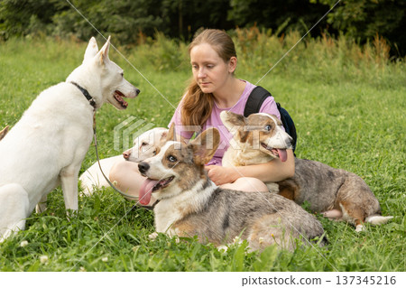 Professional dog walker young woman with pack of dogs is sitting on grass and enjoying walk animals. Professional dog walker young woman with pack of dogs is sitting on grass and enjoying walk animals. 137345216