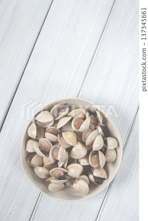 freshly frozen vongole clams, on a light plate, top view, no people, freshly frozen vongole clams, on a light plate, top view, no people, 137345661