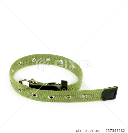 Durable Green Canvas Dog Collar with Metal Buckle and Eyelets 137345682