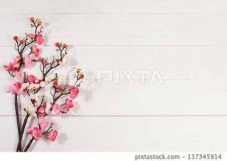 Delicate pink sakura branches on a sunny background, an elegant colorful banner and template for your creative work, an abstract spring floral arrangement with the concept of the arrival of spring 137345914