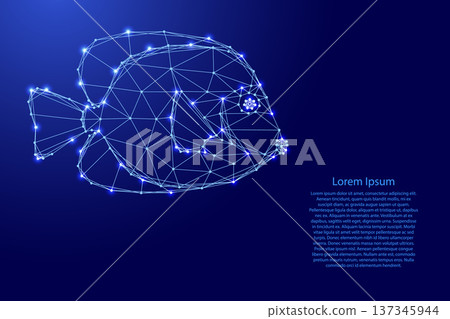 tropical fish from futuristic polygonal blue lines and glowing stars for banner, poster, greeting card tropical fish from futuristic polygonal blue lines and glowing stars for banner, poster, greeting card 137345944