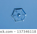 Natural snowflake crystal in blue background 137346118