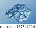 Natural snowflake crystal in blue background 137346119