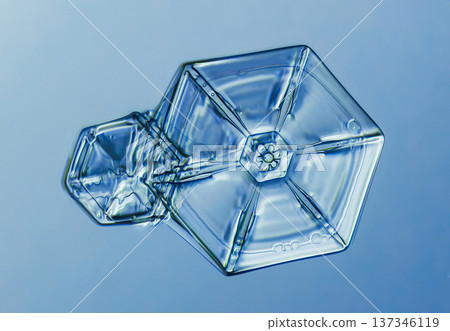 Natural snowflake crystal in blue background 137346119