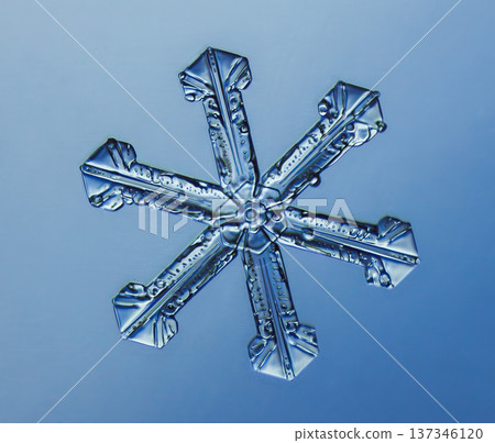 Natural snowflake crystal in blue background 137346120