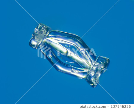 Natural snowflake crystal in blue background 137346236
