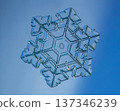 Natural snowflake crystal in blue background 137346239