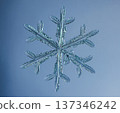 Natural snowflake crystal in blue background 137346242
