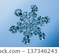 Natural snowflake crystal in blue background 137346243