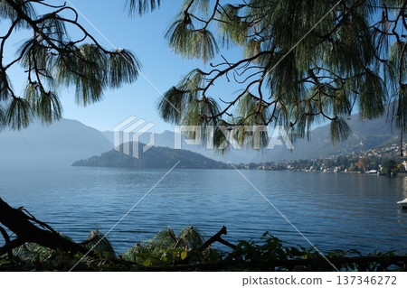 Epic Como lake view trees and fog 137346272