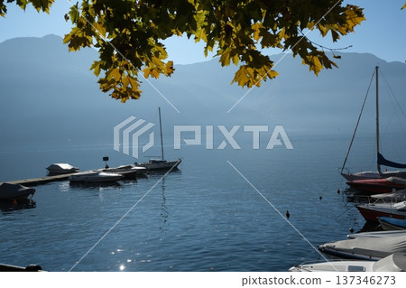 Epic Como lake view trees and fog Epic Como lake view trees and fog 137346273